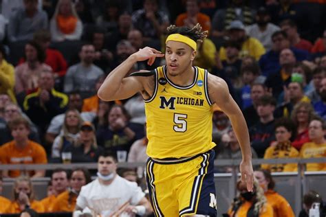 Michigan basketball Terrance Williams to NBA draft and transfer .